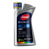 ضدیخ کاسپین